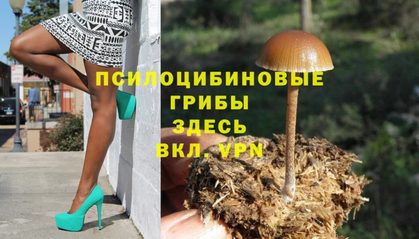 герыч Арсеньев